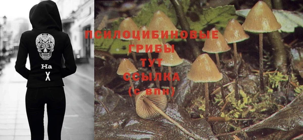 ECSTASY Алексин